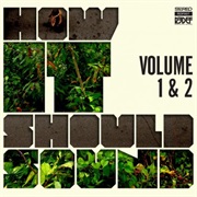 Damu the Fudgemunk - How It Should Sound Volume 1 & 2