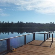 Lake Cassidy, Washington