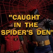 Caught in the Spider&#39;s Den