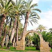 Parque Municipal, Elche