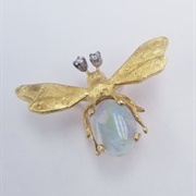 Opal Fly