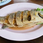 Silver Perch (Leiopotherapon Plumbeus)