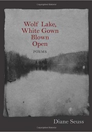 Wolf Lake, White Gown Blown Open (Diane Seuss)