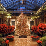 Longwood Gardens Christmas - Kennett Square, PA