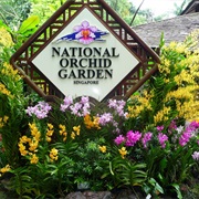 National Orchid Garden, Singapore
