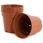 Plant Pots