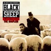 Black Sheep - A Wolf in Sheeps Clothing
