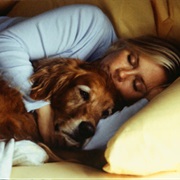 Sleep With a Dog
