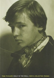 Hole in the Wall (Tom Pickard)