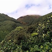 Guadeloupe National Park