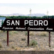 San Pedro Riparian National Conservation Area