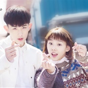 The Life of the White Fox (2019)