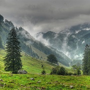 Kalkalpen National Park, Austria