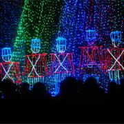 Osborne Family Spectacle of Dancing Lights