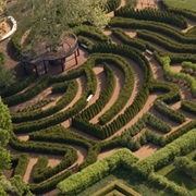 The Morton Arboretum