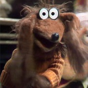 Baskerville the Hound