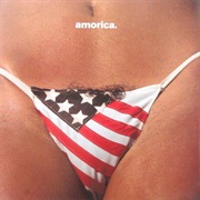 Black Crowes, The: Amorica