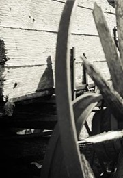 The Revelator (Robert Kloss)