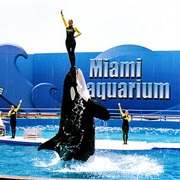Miami Seaquarium, Virginia Key, Florida