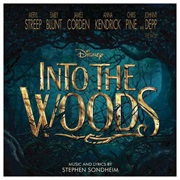 Your Fault - Into the Woods