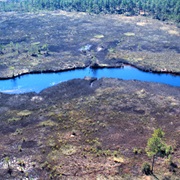 Grand Bay National Estuarine Research Reserve