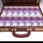 Find a Brief Case Filled With 500 Euro Notes to Take Care of My Retirement