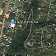 Hairpin Turns on Pupukea Road