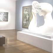 Visit All Art Museums in Your City