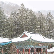Pyeongchang, South Korea