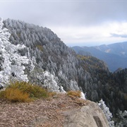 Cibola National Forest