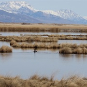 Ruby Lake National Wildlife Refuge