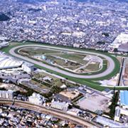 Hanshin Racecourse