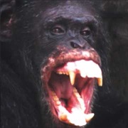 Normal P*Rn for Normal People