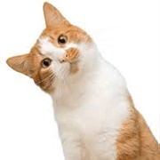 Superior Beings: If They Exist (Alfred University)