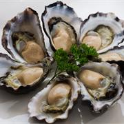 Sydney Rock Oyster
