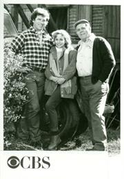 Blue Skies (1988 TV Series)