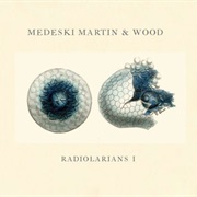 Medeski, Martin & Wood - Radiolarians I