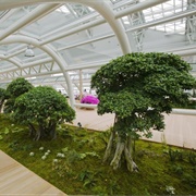 Incheon International Airport (Incheon, South Korea)