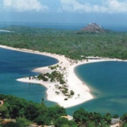 Ilha De Marajo, Brazil