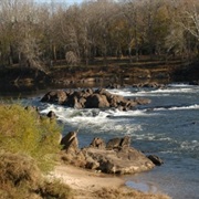 Roanoke River Floodplain, North Carolina