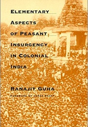 Elementary Aspects of Peasant Insurgency in Colonial India (Ranajit Guha)