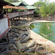 Crocodile Farm, Thailand