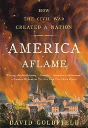 America Aflame: How the Civil War Created a Nation (David Goldfield)