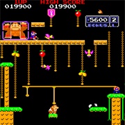 Donkey Kong Jr