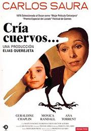 Cría Cuervos