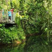 Djiru National Park (QLD)