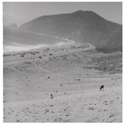 We Must Be Killers - Mikky Ekko