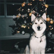 Nouns - Still Bummed