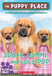 Puppy Place: Sugar, Gummi, and Lollipop (Ellen Miles)