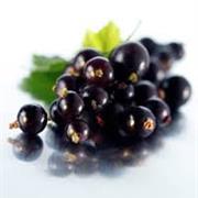 Black Currants